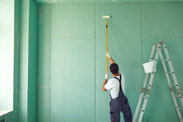  Olive Branch, MS Mold Removal Pros
