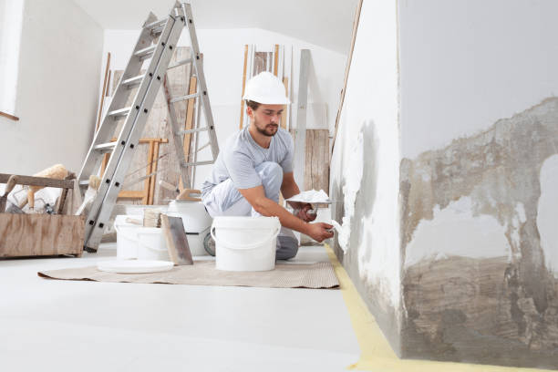 Best Residential Mold Inspection & Testing  in Olive Branch, MS