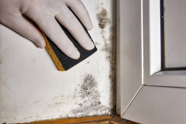 Best Indoor Air Quality Assessment  in Olive Branch, MS