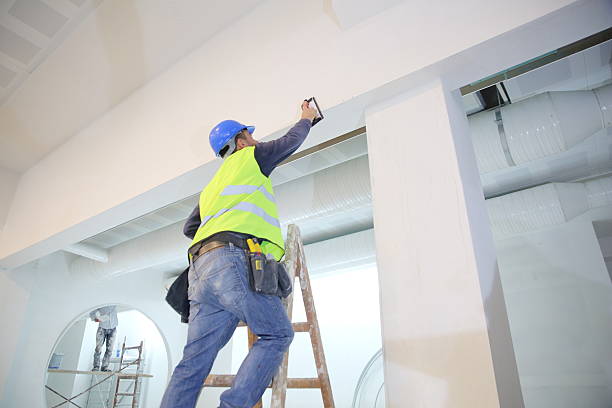 Best Mold Damage Restoration  in Olive Branch, MS