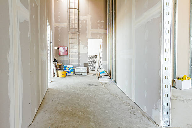 Reliable Olive Branch, MS Mold Removal Solutions