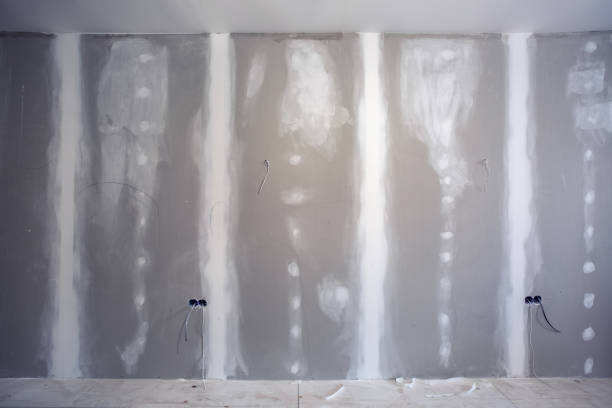 Best Attic Mold Removal  in Olive Branch, MS